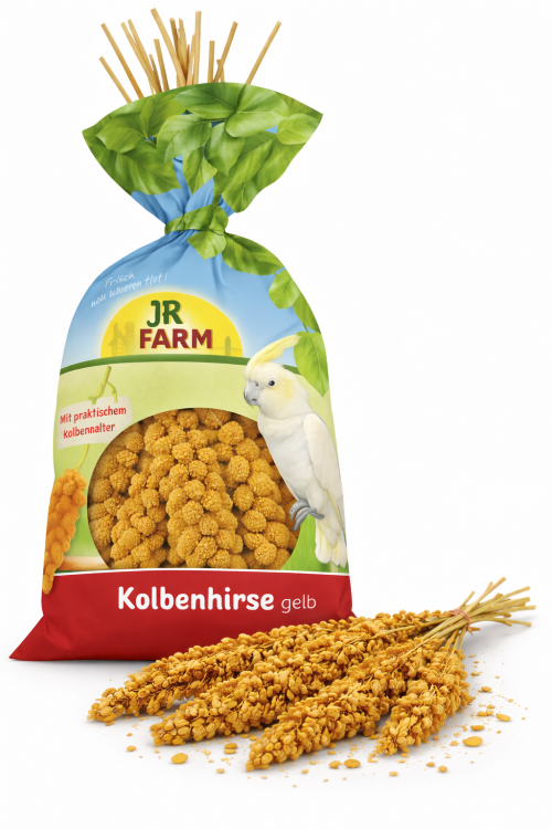 JR FARM Spray Millet Yellow – žluté proso v klasech 500 g od ParrotPlanet.cz