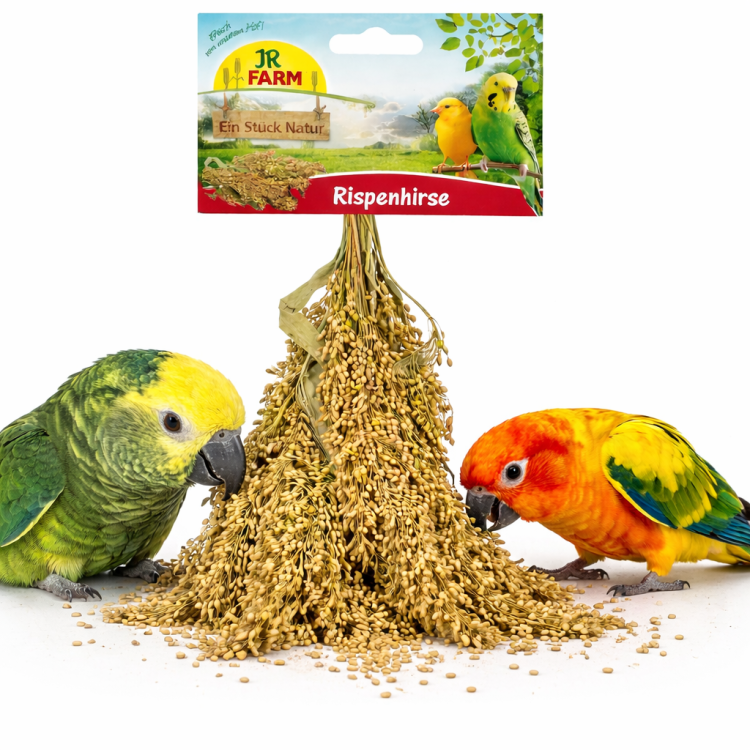 JR FARM Rozptýlené proso v klasech k okusování pro všechny papoušky 100 g od ParrotPlanet.cz