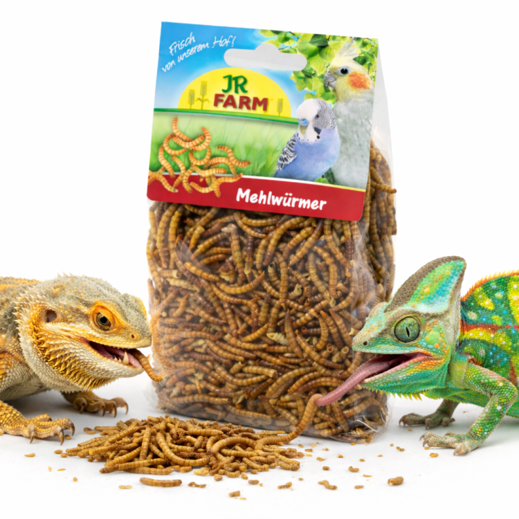 JR FARM Cvrčci – přírodní bílkoviny pro všechny plazy 25 g od ParrotPlanet.cz