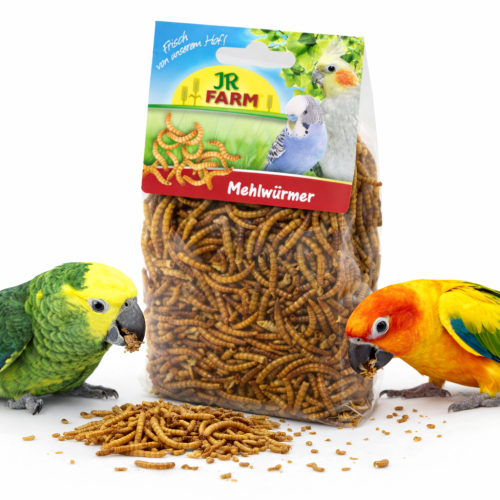 JR FARM Moučky – přírodní bílkoviny pro všechny papoušky 25 g od ParrotPlanet.cz