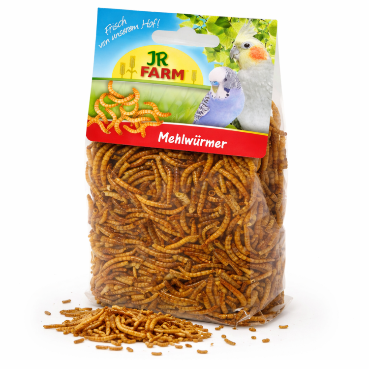 JR FARM Moučky – přírodní bílkoviny pro všechny papoušky 25 g od ParrotPlanet.cz