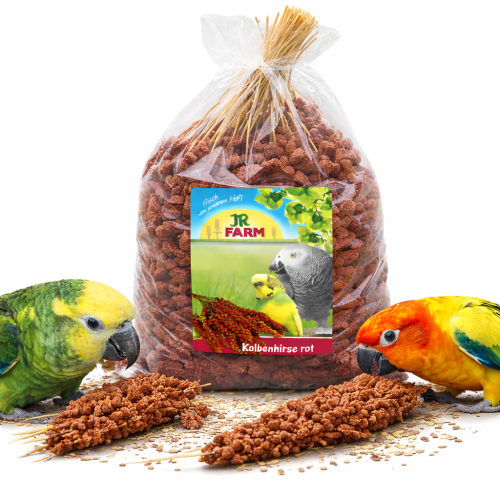 JR FARM Spray Millet red – červené proso v klasech 1 kg od ParrotPlanet.cz