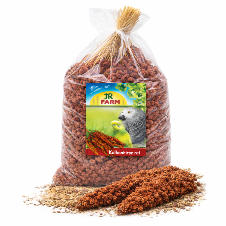 JR FARM Spray Millet red – červené proso v klasech 1 kg od ParrotPlanet.cz