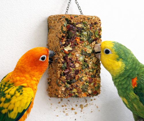 JR FARM Minerální kostka se semínky a zeleninou pro všechny papoušky 75 g od ParrotPlanet.cz