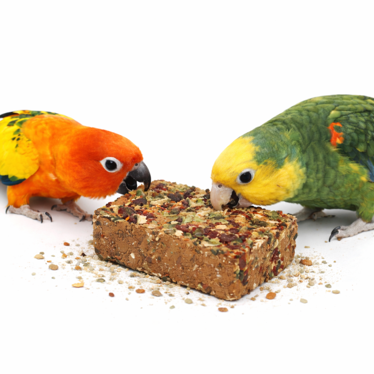 JR FARM Minerální kostka se semínky a zeleninou pro všechny papoušky 75 g od ParrotPlanet.cz