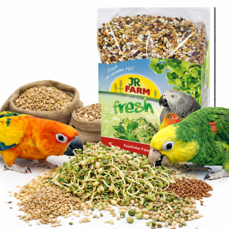 JR FARM Big Parrots - Kiełki dla dużych papug 1kg od ParrotPlanet.pl