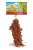 JR FARM Dari w kłosach do chrupania dla wszystkich papug 100g od ParrotPlanet.pl