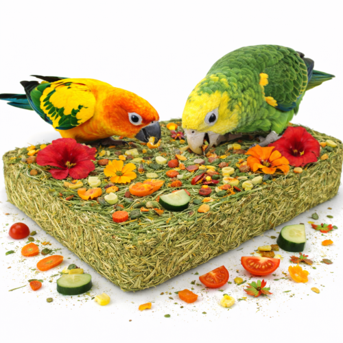 Vitaminová bylinná louka se zeleninou – pro všechny papoušky 750 g od ParrotPlanet.cz