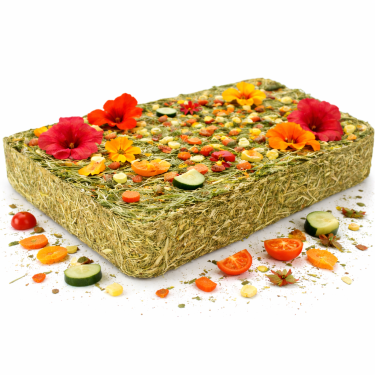 Vitaminová bylinná louka se zeleninou – pro všechny papoušky 750 g od ParrotPlanet.cz