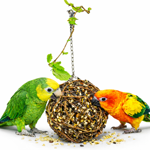 JR FARM Obří vrbová suda XXL s lahůdkami – pro zábavu a křupání pro všechny papoušky 300 g od ParrotPlanet.cz