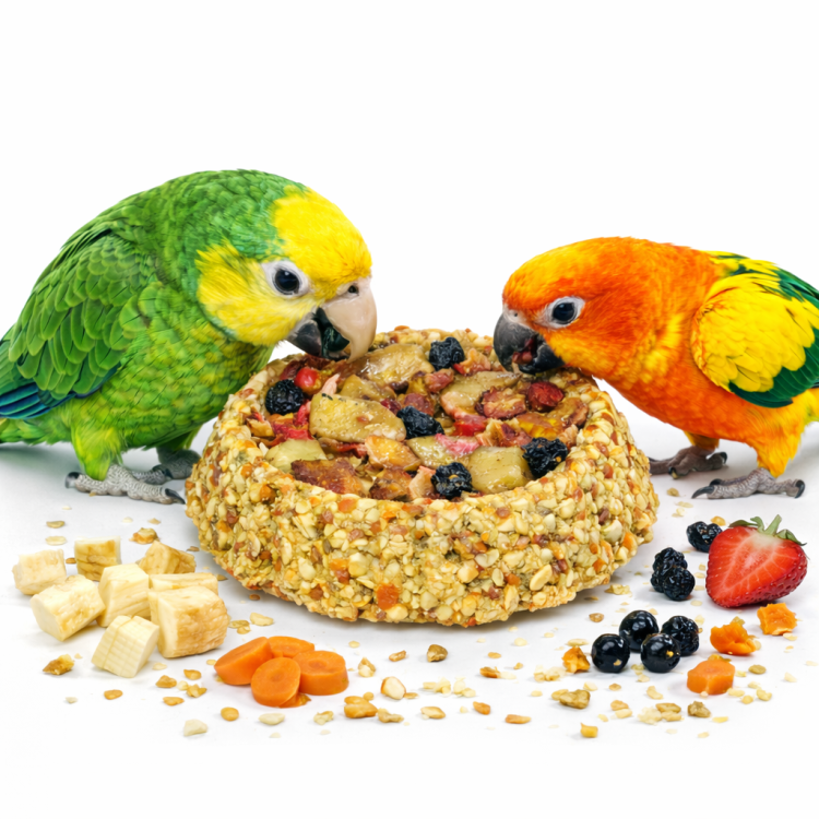 JR FARM Křupavé ovocné sušenky – pro všechny papoušky 80 g od ParrotPlanet.cz