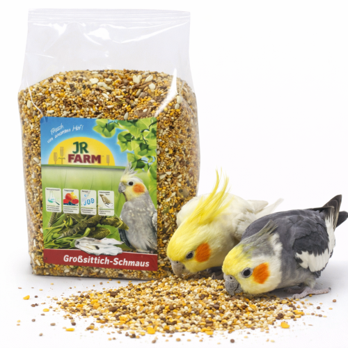 JR Farm Big Parakeets – krmivo pro korely a další střední papoušky obohacené o ústřicové skořápky 1 kg od ParrotPlanet.cz