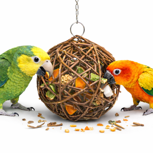 JR FARM Vrbová koule plněná ovocem – lahodná pochoutka pro všechny papoušky 135g od ParrotPlanet.cz