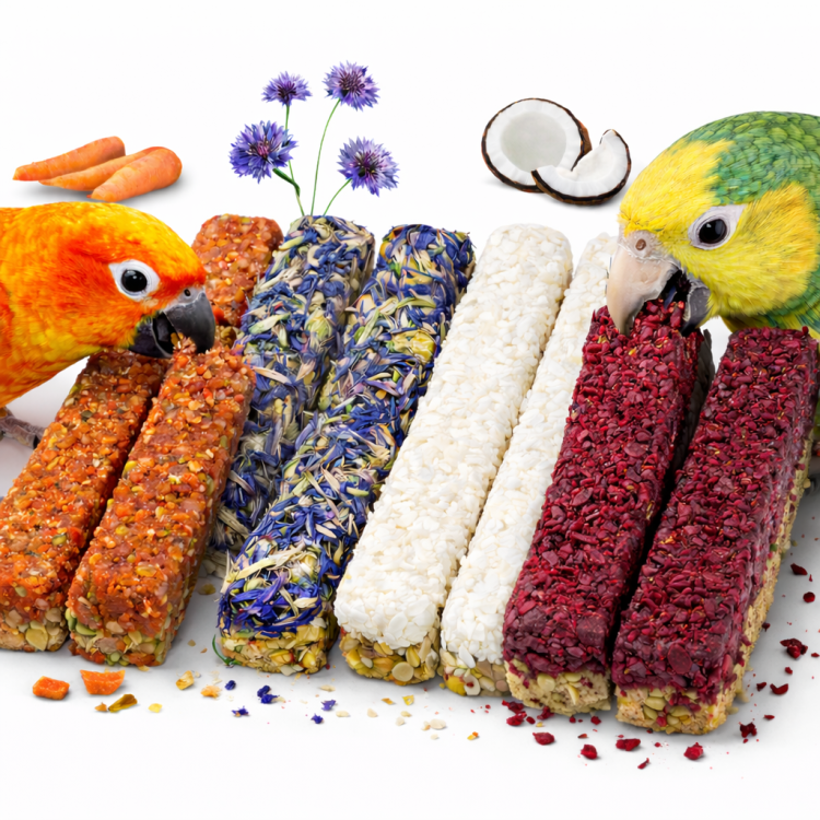 JR FARM Grainless Deluxe Sticks Deluxe – bezobilné tyčinky Deluxe s kokosem, řepou, mrkví a květy chrpy pro všechny papoušky od parrotplanet.cz