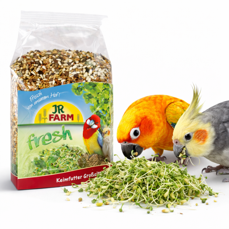JR FARM Big Parakeet – klíčky pro papoušky a jiné střední papoušky 1 kg  od ParrotPlanet.cz