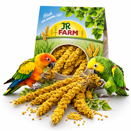JR FARM Spray Millet Yellow – žluté proso v klasech pro papoušky 1 kg  od ParrotPlanet.cz