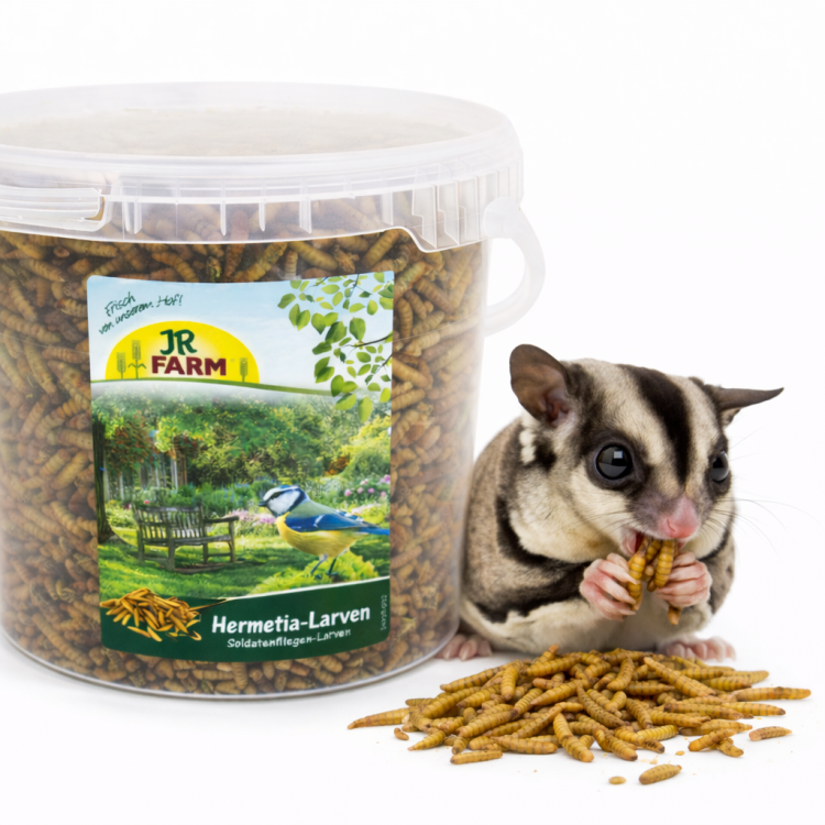 JR FARM Larvy moucnych cervu – prirodni bilkovina pro vakoveverky, kyblik 400 g od ParrotPlanet.cz