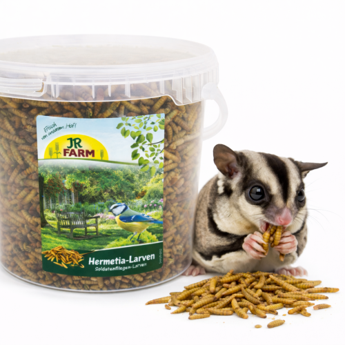 JR FARM Larvy moucnych cervu – prirodni bilkovina pro vakoveverky, kyblik 400 g od ParrotPlanet.cz