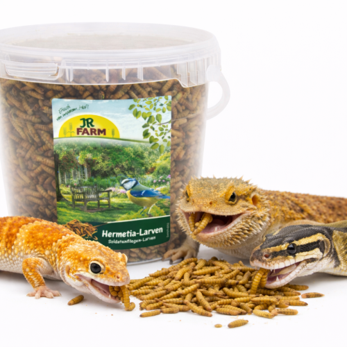 JR FARM Sušené moučky pro plazy – přírodní pochoutka, 100 % hmyz  od ParrotPlanet.cz