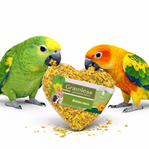 JR FARM Bezobilné květinové srdíčko – pamlsek pro všechny papoušky 90 g  od ParrotPlanet.cz
