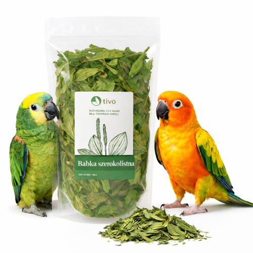 TIVO Jitrocel širokolistý – přírodní sušená bylina pro papoušky 100 g  od ParrotPlanet.cz