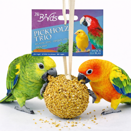 JR FARM Vrbová sud s lahůdkami – pro zábavu a křupání pro všechny papoušky 55 g od ParrotPlanet.cz