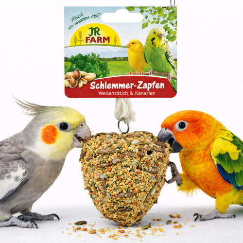 JR FARM Chutná šiška pro gurmány – lahodná pochoutka pro všechny papoušky a jiné menší papoušky 120 g od ParrotPlanet.cz