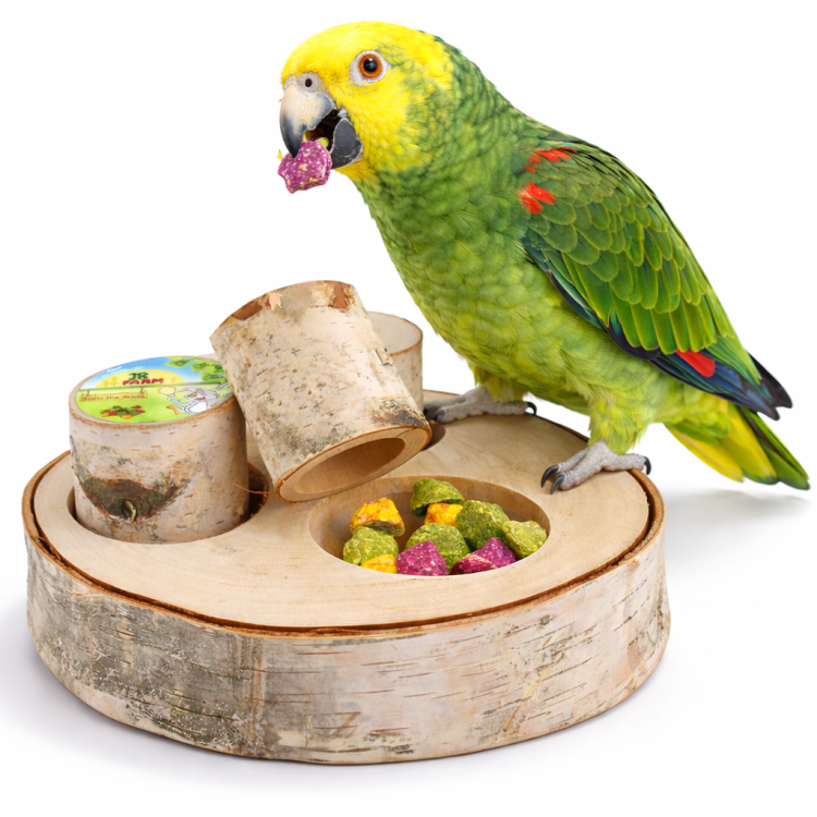 JR FARM Trénink mysli II – dřevěná hračka pro papoušky od ParrotPlanet.pl