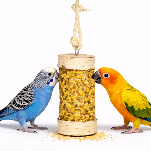 JR FARM Sud plný radosti pro menší papoušky 135 g od ParrotPlanet.cz