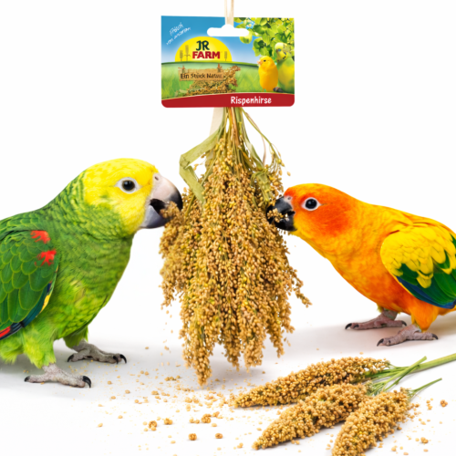 JR FARM Rozptýlené proso v klasech k chroupání pro všechny papoušky 400 g od ParrotPlanet.cz