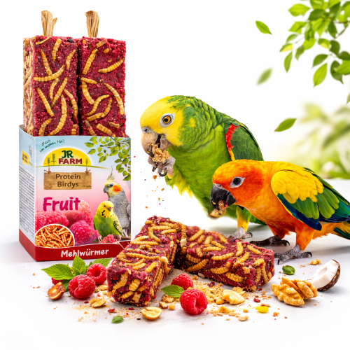 JR FARM Protein-Birdys Fruit Mealworms – chutný piškot s malinami, jablkem a moučnými červy pro všechny papoušky od ParrotPlanet.cz