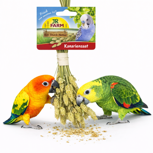 JR FARM Kanárské semínko v klasech k chroupání pro všechny papoušky 20 g od ParrotPlanet.cz