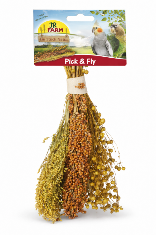 JR FARM Pick & Fly 130 g – přírodní buket klasů pro hlodavce | čirok, proso, len od ParrotPlanet.cz