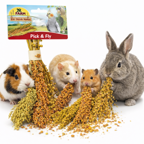 JR FARM Pick & Fly 130 g – přírodní buket klasů pro hlodavce | čirok, proso, len od ParrotPlanet.cz
