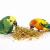 JR FARM Len v klasech 30 g přírodní pamlsek pro hlodavce k žerování od ParrotPlanet.cz