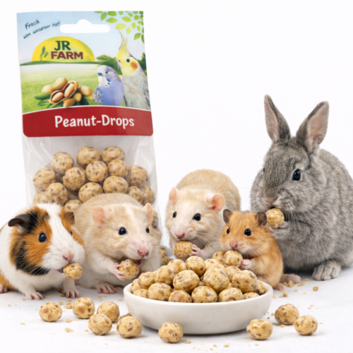 JR FARM Ořechové křupky 100 g | Pamlsek pro hlodavce a tréninková odměna ParrotPlanet.cz