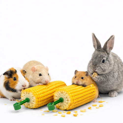 JR FARM Křupavá kukuřice 200 g | Přírodní pochoutka pro hlodavce ParrotPlanet.cz