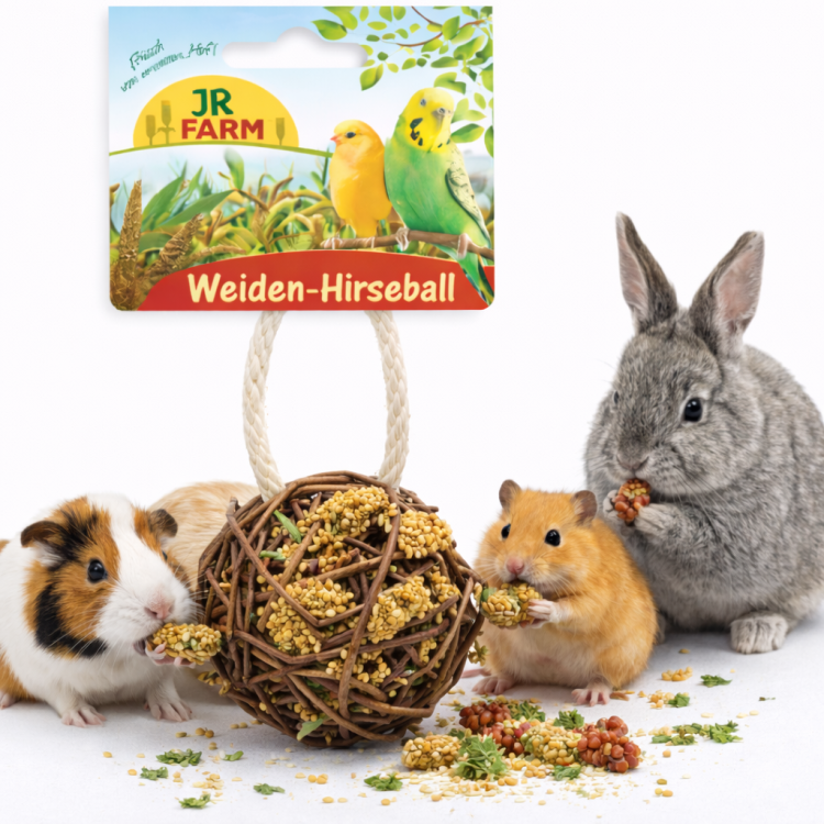 JR FARM Proutěná koule plněná prosem 25 g | Přírodní hračka a pochoutka pro hlodavce ParrotPlanet.cz