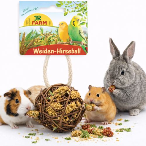 JR FARM Proutěná koule plněná prosem 25 g | Přírodní hračka a pochoutka pro hlodavce ParrotPlanet.cz