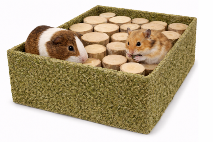 JR FARM Skutečný les – přírodní krabička k hledání potravy pro králíky a hlodavce od ParrotPlanet.cz