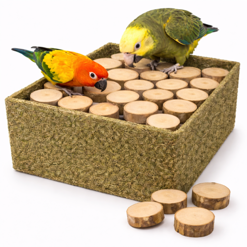 JR FARM Pravý les – přírodní krmítko pro všechny papoušky 150 g od ParrotPlanet.cz