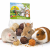 JR FARM Crunchy Trio 75 g – 6 pamlskových kuliček pro králíky a hlodavce od ParrotPlanet.cz