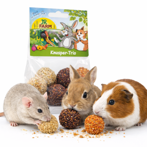 JR FARM Crunchy Trio 75 g – 6 pamlskových kuliček pro králíky a hlodavce od ParrotPlanet.cz