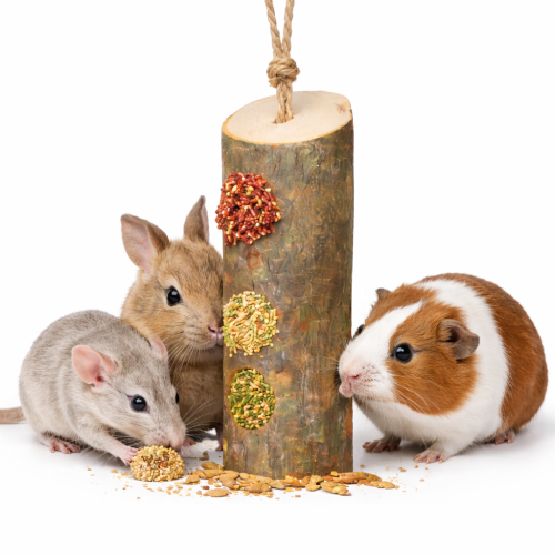 JR FARM Papouščí světýlka 300 g – dřevěná hračka s náplní pro králíky a hlodavce od ParrotPlanet.cz