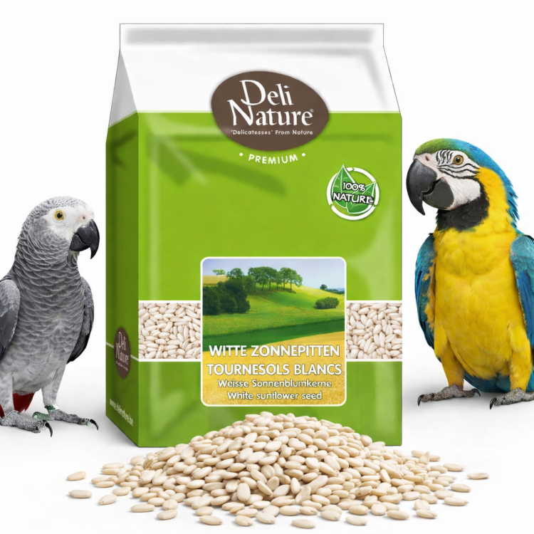 Deli Nature Bílá slunečnice – pro všechny papoušky 2 kg od ParrotPlanet.cz