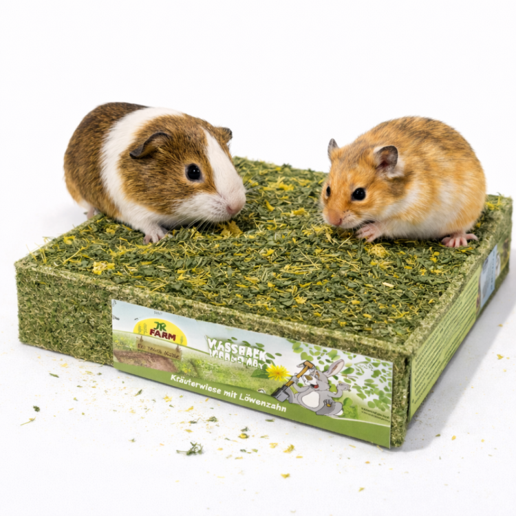JR FARM Louka k žerování s pampeliškou | Přírodní směs bylin pro králíky a hlodavce ParrotPlanet.cz
