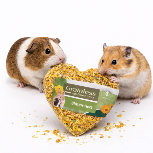 JR FARM Bezobilné květinové srdíčko 90 g | Pochoutka pro všechny papoušky ParrotPlanet.cz