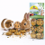 JR FARM Ovocné celozrnné sušenky 120 g | Křupavá pochoutka pro hlodavce ParrotPlanet.cz