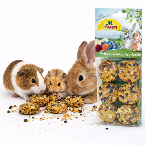 JR FARM ovocné celozrnné sušenky 120 g křupavá pochoutka pro hlodavce od ParrotPlanet.cz