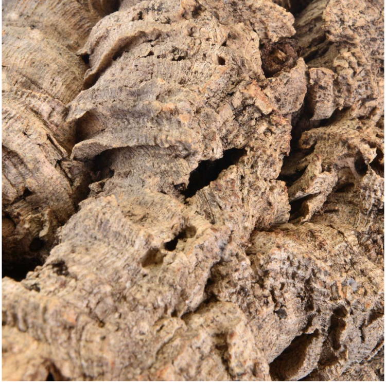 Přírodní bidélko nebo jeskyně z korkové kůry dubu, velikost MINI – pro malé papoušky od ParrotPlanet.cz